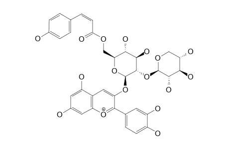 CYANIDIN-3-O-(2-O-BETA-XYLOPYRANOSYL-6-O-(E)-PARA-COUMAROYL)-BETA-GALACTOPYRANOSIDE