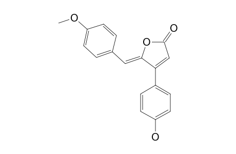 RUBROLIDE_F