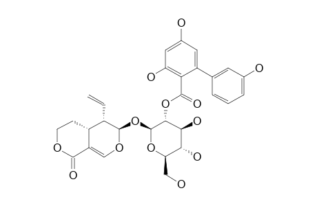 AMAROGENTIN