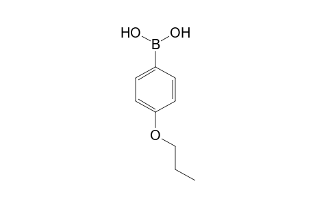 4-Propoxyphenylboronic acid