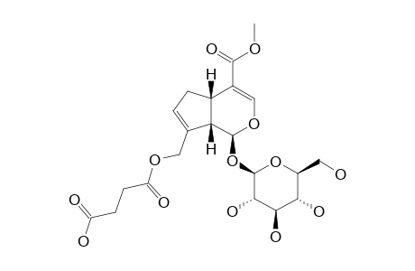 10-O-SUCCINOYL-GENIPOSIDE