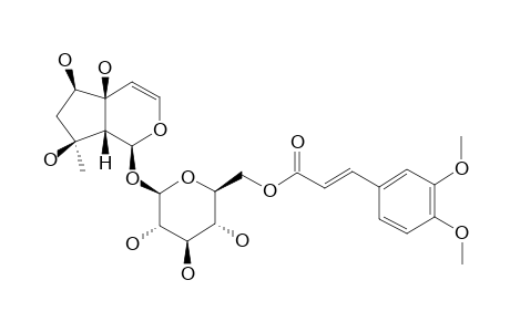 6'-(3,4-DIMETHOXY-CINNAMOYL)-HARPAGIDE