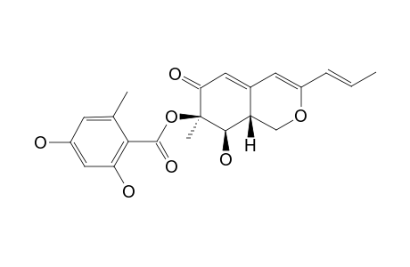 BERKAZAPHILONE_B