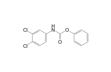 3,4-dichlorocarbanilic acid, phenyl ester