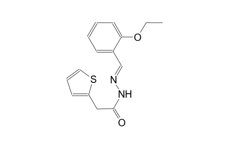 N'-[(E)-(2-ethoxyphenyl)methylidene]-2-(2-thienyl)acetohydrazide