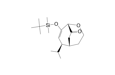 8-(TERT.-BUTYLDIMETHYLSILOXY)-6-ISOPROPYL-2-OXABICYCLO-[3.3.2]-DEC-7-EN-9-ONE