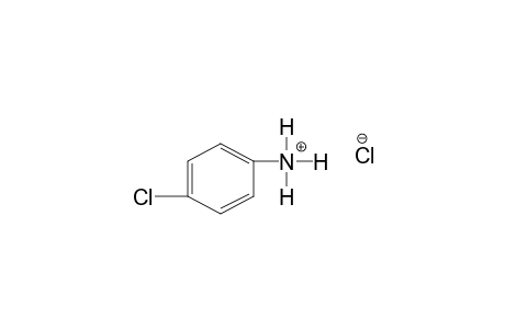 p-CHLOROANILINE, HYDROCHLORIDE