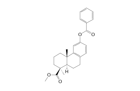 METHYL-12-BENZOYLOXY-PODOCARPA-8,11,13-TRIEN-19-OATE