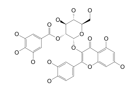 QUERCETIN-3-(2''-GALLOYL)-GLUCOSIDE