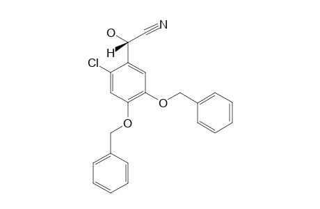 (RAC)-2-CHLORO-ALPHA-HYDROXY-4,5-DI-(PHENYLMETHOXY)-BENZENE-ACETONITRILE