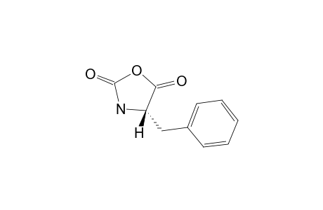 L-PHENYLALANYL-N-CARBOXANHYDRIDE