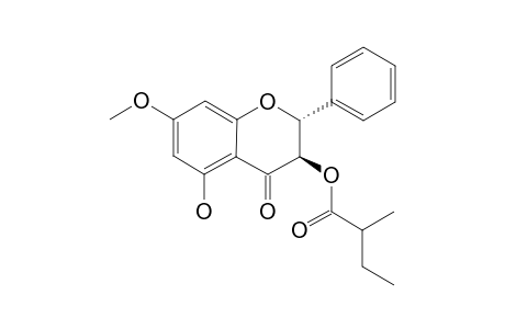 (2-R,3-R)-3,5-DIHYDROXY-7-METHOXYFLAVANONE_3-(2-METHYL)-BUTYRATE