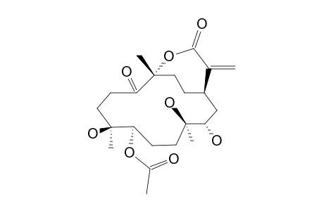 SINULAFLEXIOLIDE_C