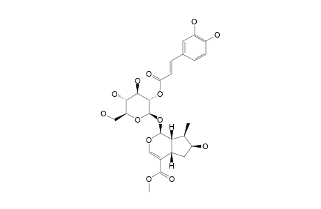 2'-O-TRANS-CAFFEOYL-LOGANIN