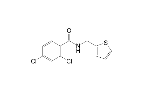 2,4-dichloro-N-(2-thenyl)benzamide