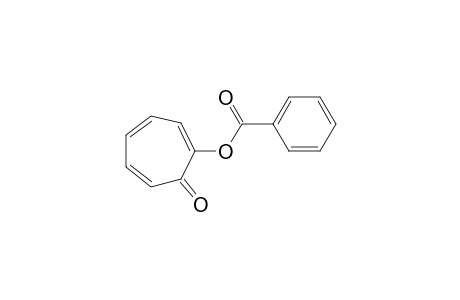 TROPOLONE-BENZOATE