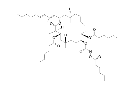 HLGIOASLCDBGNR-HOFHHEOJSA-N