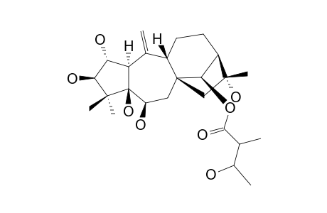 14-BETA-O-(2-S,3-S-NILYL)-2-ALPHA,3-BETA,5-BETA,6-BETA,16-ALPHA-PENTAHYDROXYGRAYAN-10-(20)-ENE