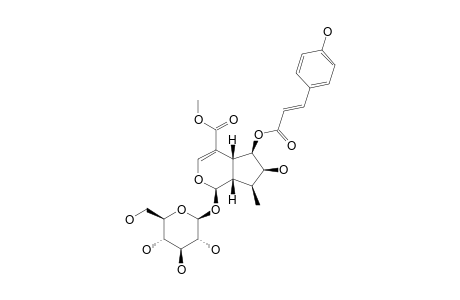 6-O-TRANS-PARA-COUMAROYL-6-BETA-HYDROXY-LOGANIN