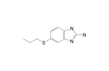 Albendazole artifact