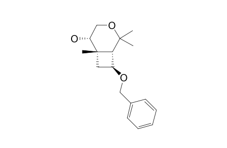 (1S,5S,6S,8S)-8-BENZYLOXY-2,2,6-TRIMETHYL-3-OXABICYCLO-[4.2.0]-OCTAN-5-OL