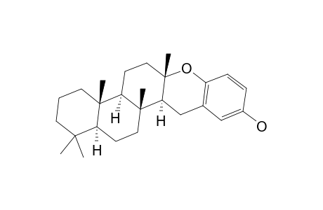 STRONGYLOPHORINE-22