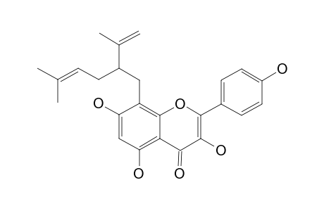 8-LAVANDULYLKAEMPFEROL