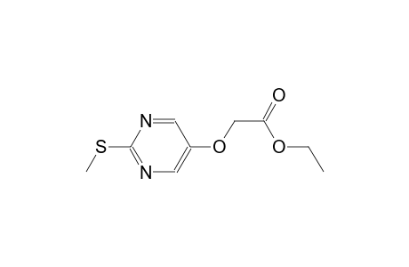 ethyl {[2-(methylsulfanyl)-5-pyrimidinyl]oxy}acetate