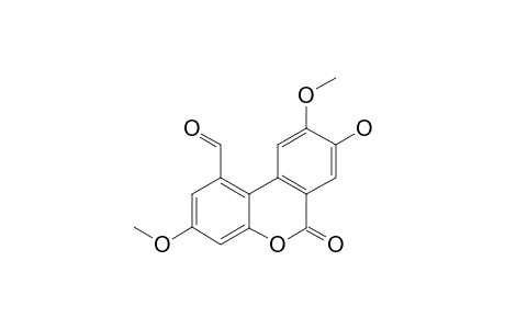 HERPETOLIDE-B