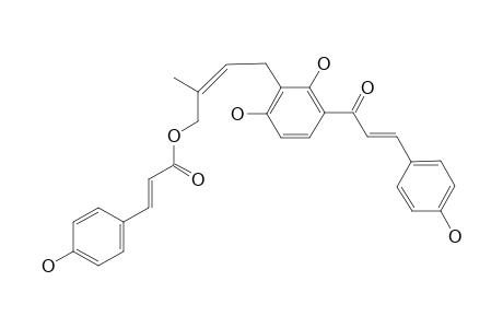 GEMICHALCONE-B;3'-[GAMMA-HYDROXYMETHYL-(Z)-GAMMA-METHYLALLYL]-2',4',4-TRIHYDROXYCHALCONE-11'-O-COUMARATE