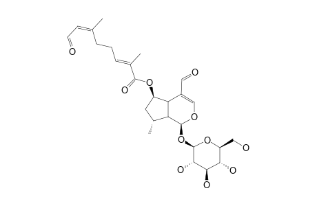 6-BETA-O-[8-OXO-2,6-DIMETHYL-(2E,6Z)-OCTADIENOYL]-BOSCHNALOSIDE