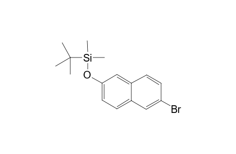 2-(tert-Butyldimethylsilyloxy)-6-bromonaphthalene