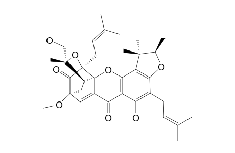 SCORTECHINONE_Q