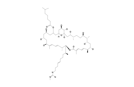 23-(6-METHYL)-HEPTANOIC-ACID-DEMALONYLAZALOMYCIN-F(4A)-ESTER