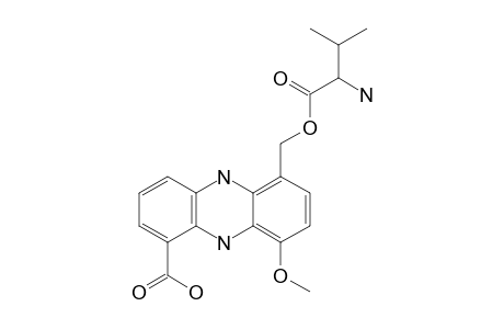 PELAGIOMICIN_B;VALYLGRISEOLUTEIC_ACID