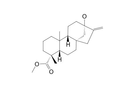 ENT-KAUR-16-EN-13-HYDROXY-19-METHYLESTER