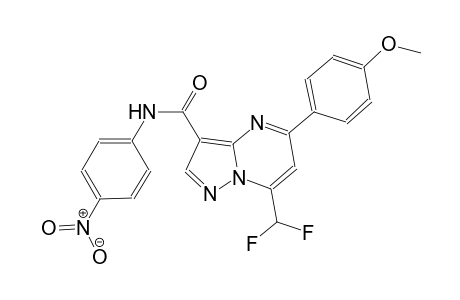 7-(difluoromethyl)-5-(4-methoxyphenyl)-N-(4-nitrophenyl)pyrazolo[1,5-a]pyrimidine-3-carboxamide