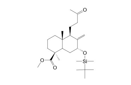 #11;(1'R,3'R,4A'S,5'S,8A'S)-4-[3'-ALPHA-(TERT.-BUTYLDIMETHYLSILYL)-OXY-3',4',4A',5',6',7',8',8A'-OCTAHYDRO-2'-(1'H)-METHYLENE-5'-BETA-METHOXYCARBONYL-5'-ALPHA,