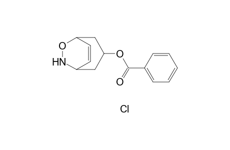 endo-3-(benzoyloxy)-8-oxa-9-azabicyclo[3.2.2]-non-6-ene hydrochloride