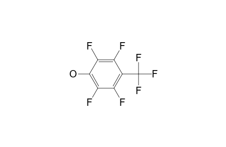 2,3,5,6-Tetrafluoro-4-(trifluoromethyl)phenol