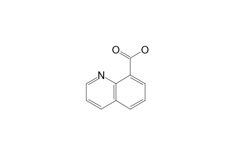 QUINOLINE-8-CARBOXYLIC-ACID