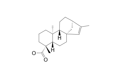 ent-Kaur-15-en-19-oic Acid