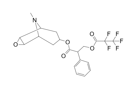 Scopolamine PFP