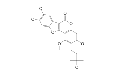 LESPEDEZACOUMERTAN