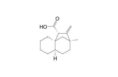 4a,7-Methano-4aH-benzocycloheptene-5-carboxylic acid, decahydro-7-methyl-6-methylene-, (4a.alpha.,5.alpha.,7.alpha.,9a.alpha.)-(.+-.)-