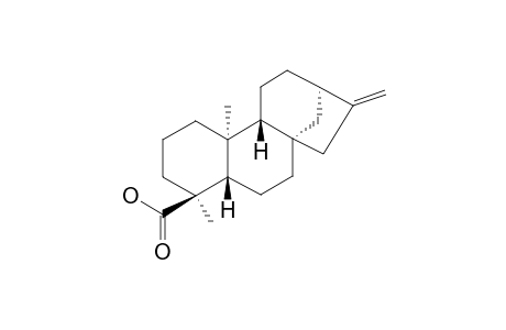 4-EPI-KAURENIC_ACID