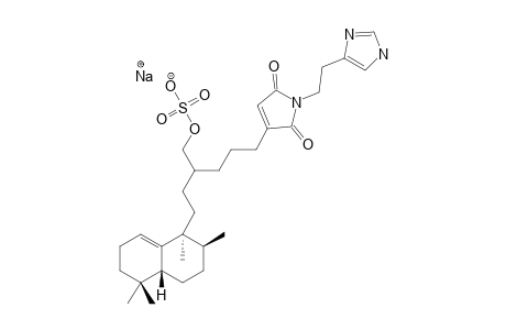 19-OXOFASCIOSPONGINE_A