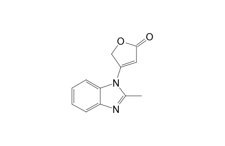 4-(2-METHYL-1H-BENZO-[D]-IMIDAZOL-1-YL)-2,5-DIHYDRO-2-FURANONE