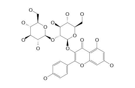 KAEMPFEROL-3-O-BETA-D-(2-O-BETA-D-GLUCOPYRANOSYL)-GLUCOPYRANOSIDE