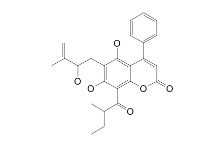 ISODISPARINOL-B;5,7-DIHYDROXY-6-(2''-HYDROXY-3''-METHYLBUT-3''-ENYL)-8-(2'''-METHYL-1'''-OXOBUTYL)-4-PHENYL-2H-BENZOPYRAN-2-ONE